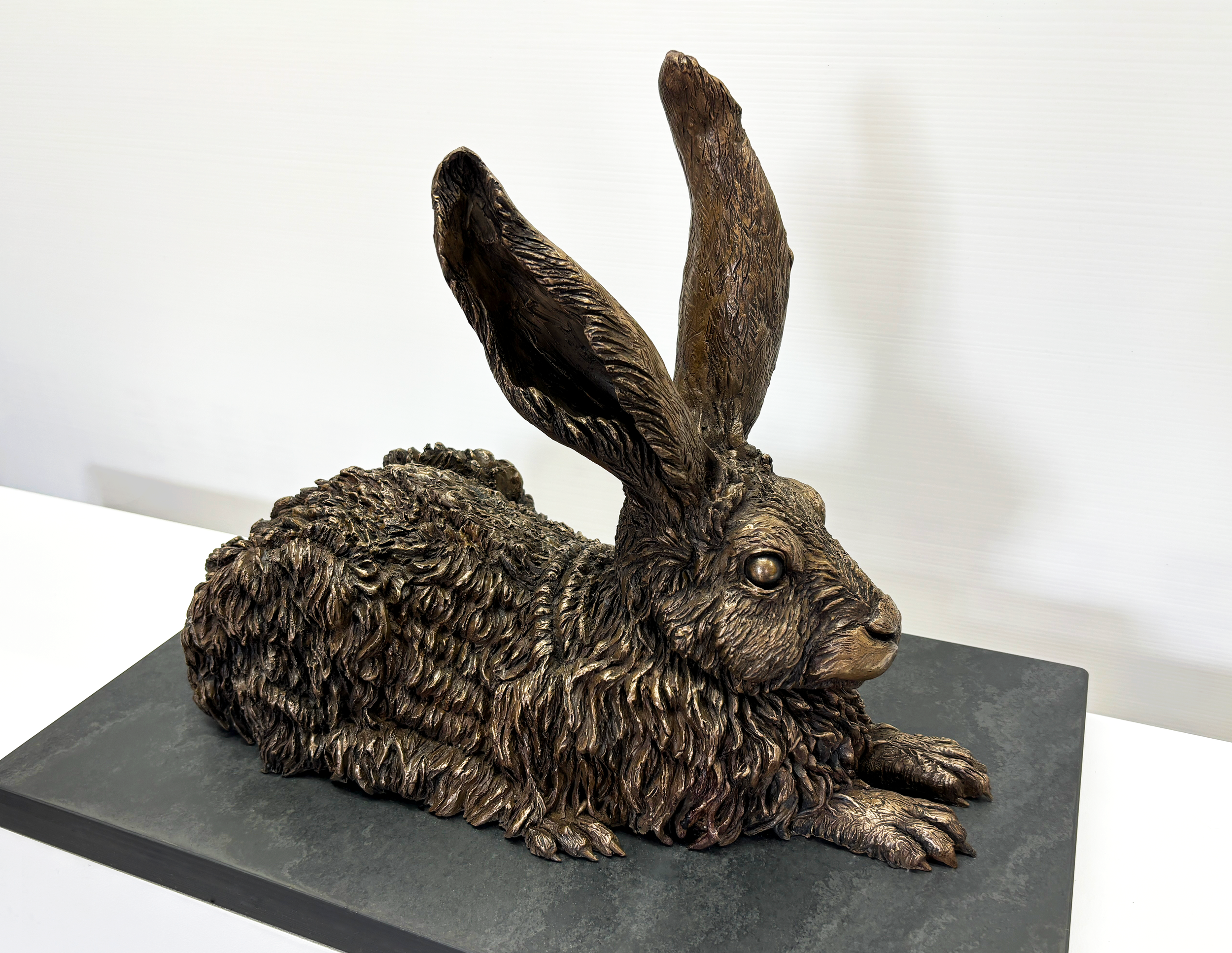 Mountain Hare — Chrystella McCabe